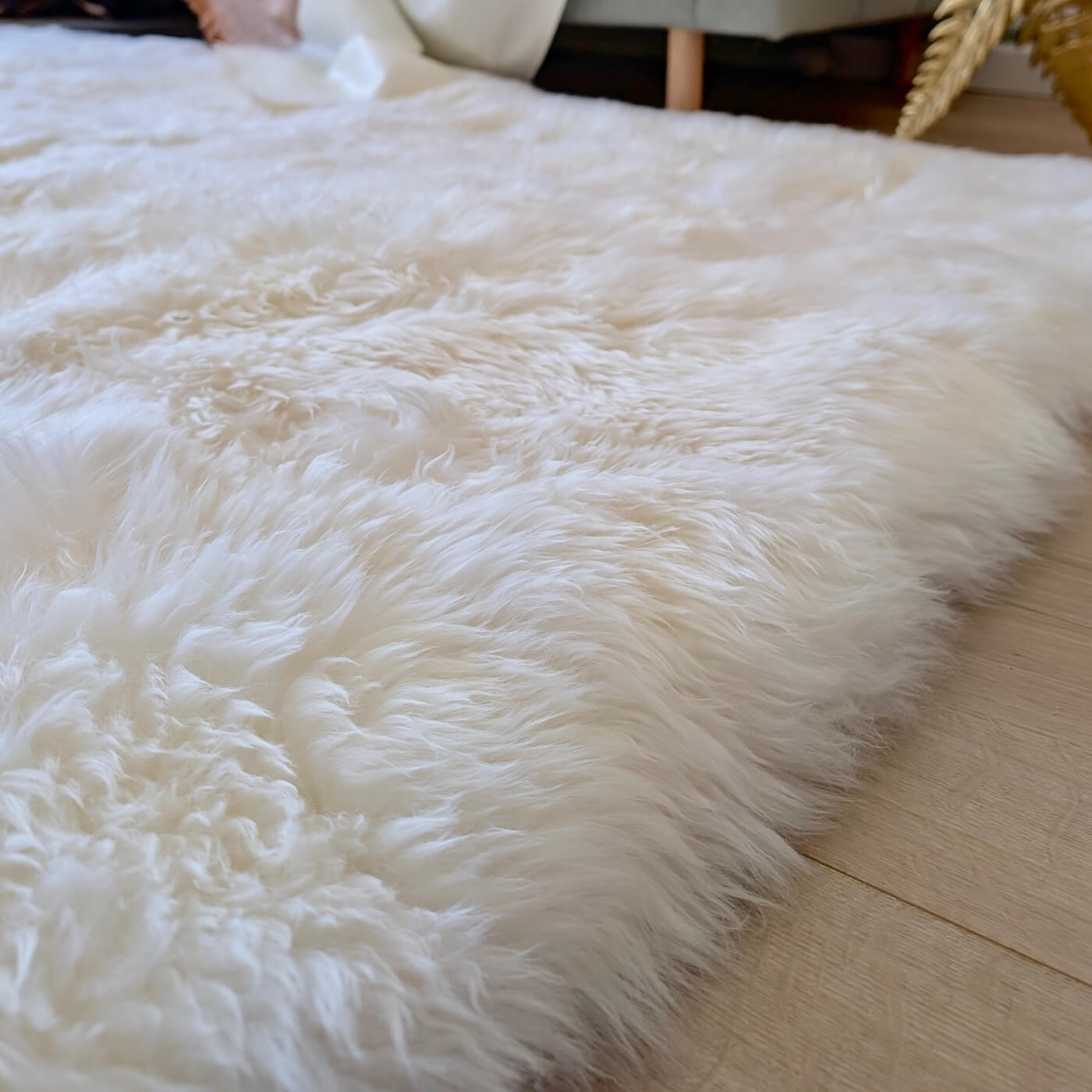 Covor dreptunghiular 300x200 din blană naturală de oaie australiană cu fir lung în nuanța de alb ivory. Somptuos și moale, zoom calitate +