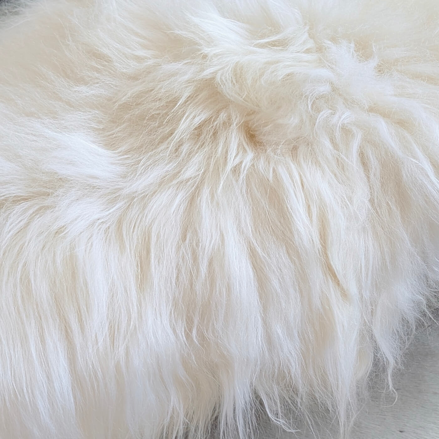 blană naturală de oaie islandeză - alb ivory - zoom
