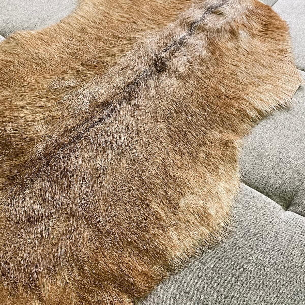 covor din piele de capra naturala bej, zoom