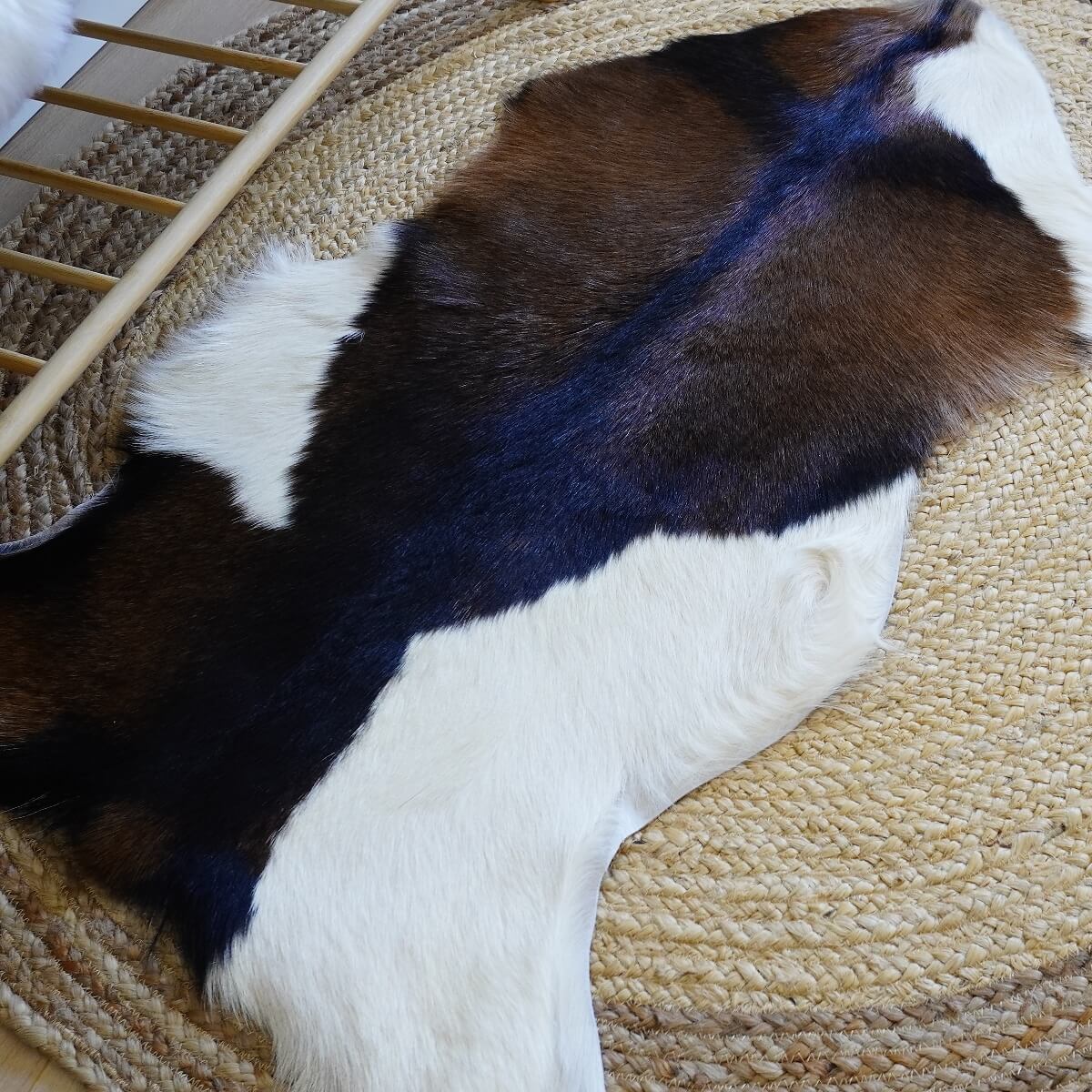 covor mic din piele naturala de capra maro cu margini albe, mango+bloom