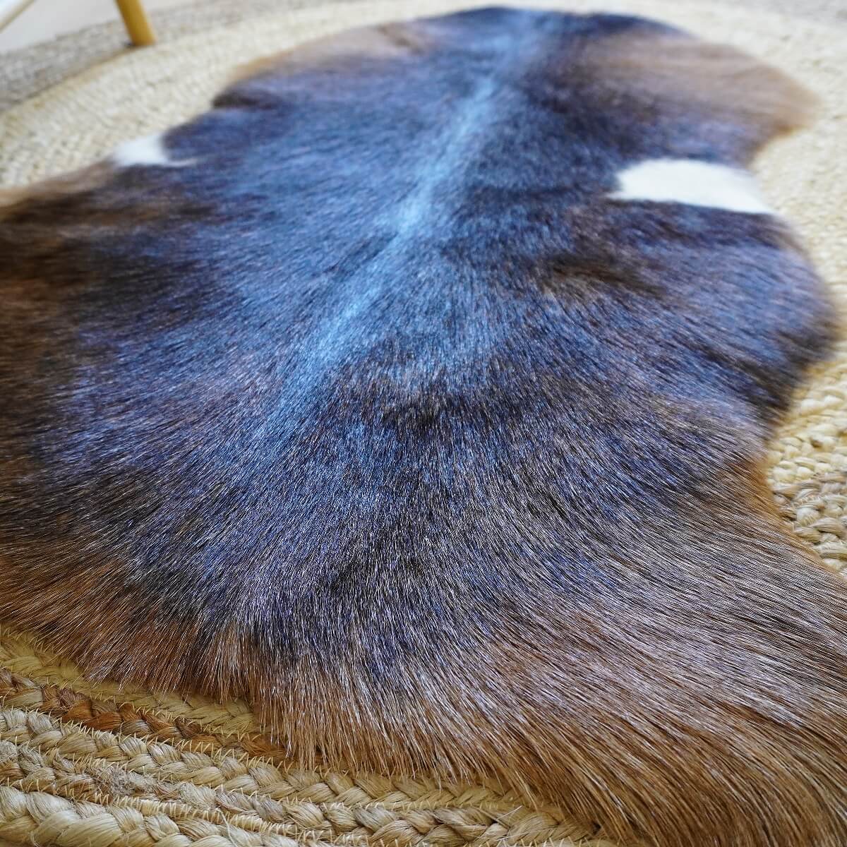 Covor din Piele de Capra, Tricolor