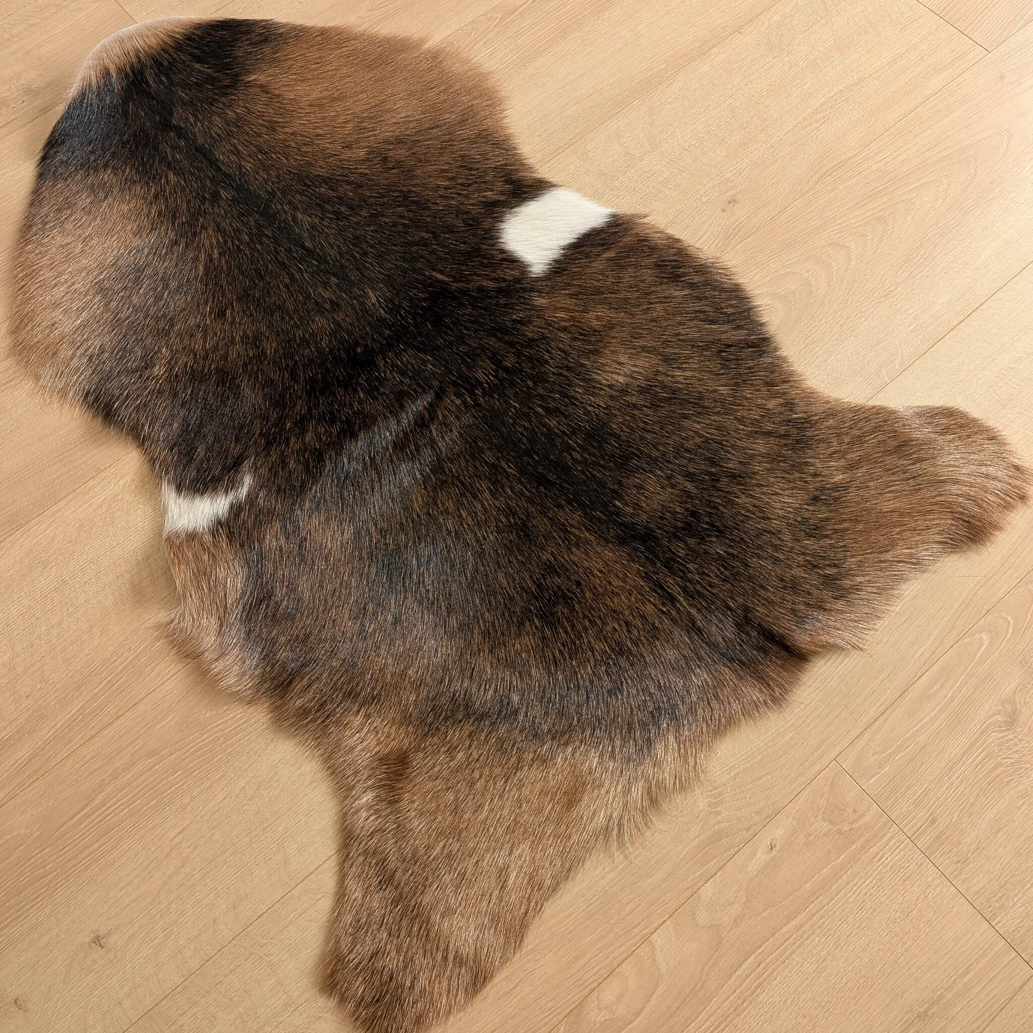 covor din piele naturala de capra tricolora de dimensiuni mici
