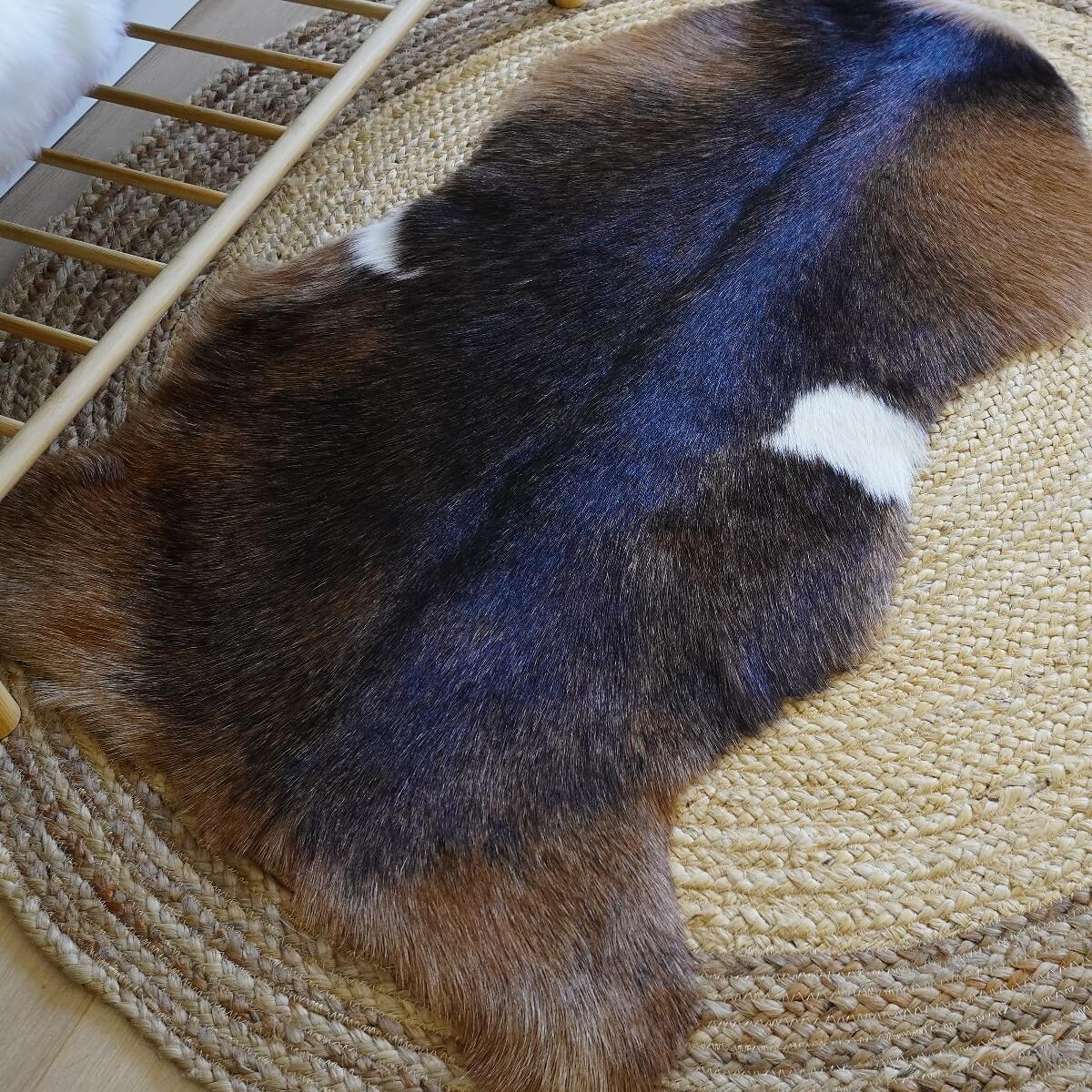 Covor din Piele de Capra, Tricolor