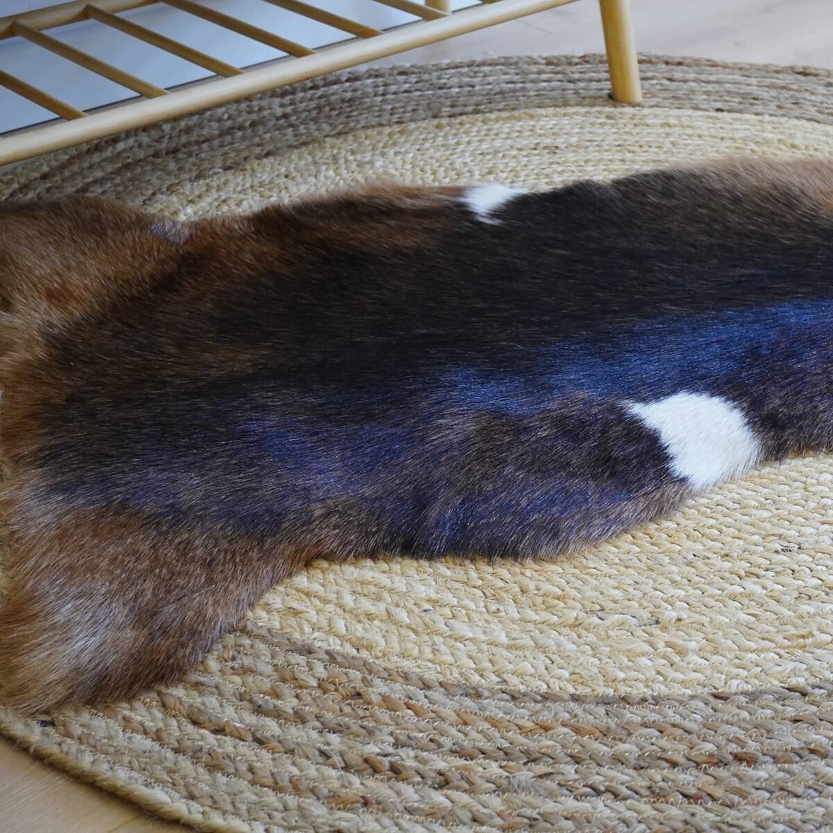 Covor din Piele de Capra, Tricolor