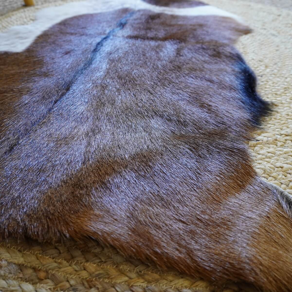 Covor din Piele de Capra, Tricolor