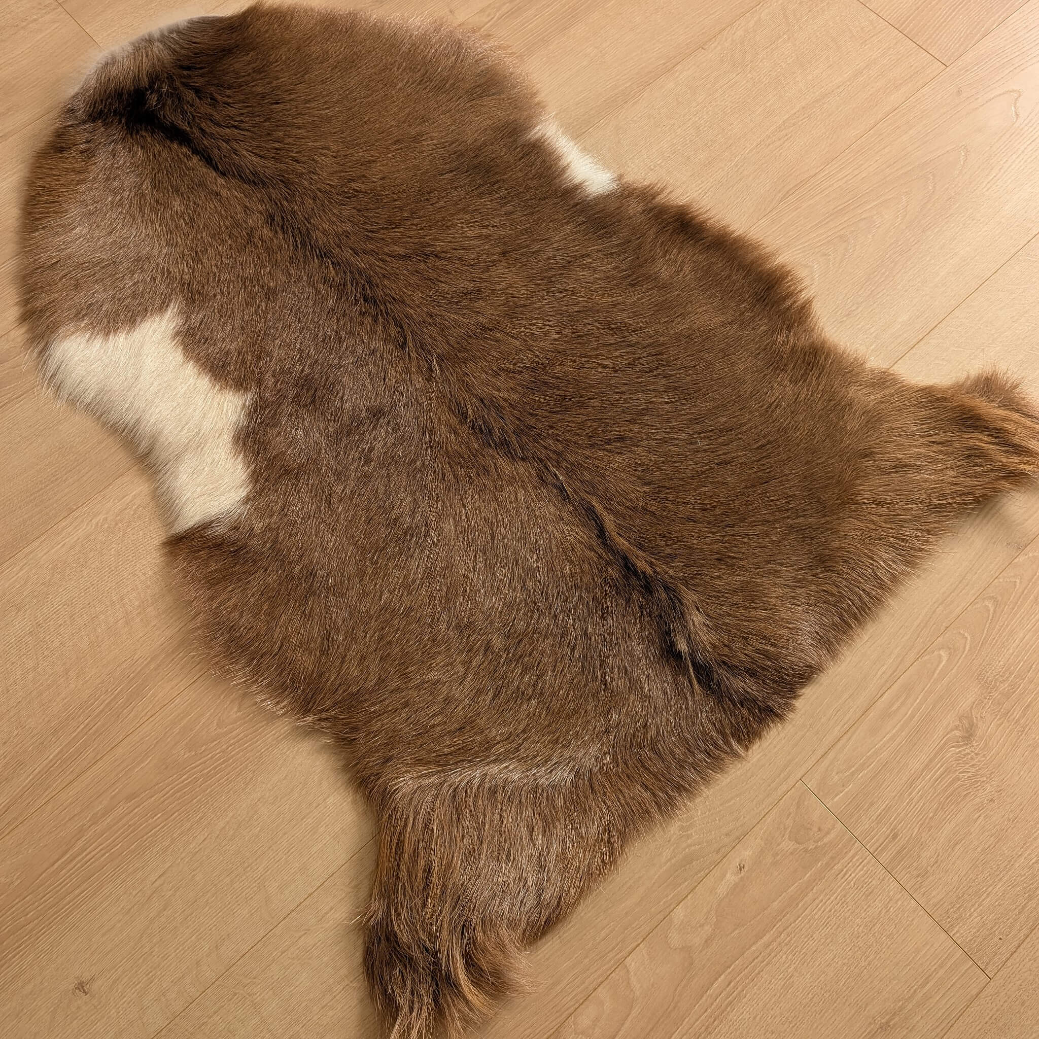 covor din piele naturala de capra pufos cu fir des de culoare maro cu pete mici albe