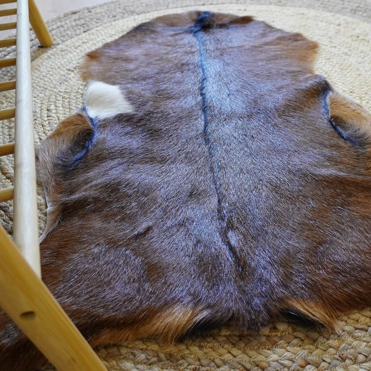 Covor din Piele de Capra, Tricolor