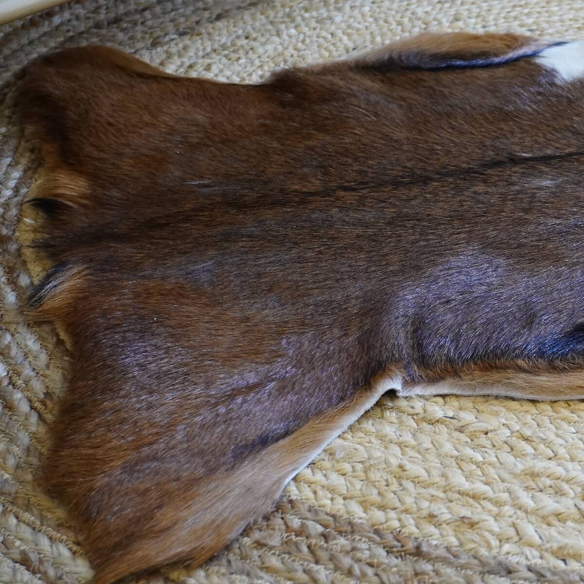 Covor din Piele de Capra, Tricolor