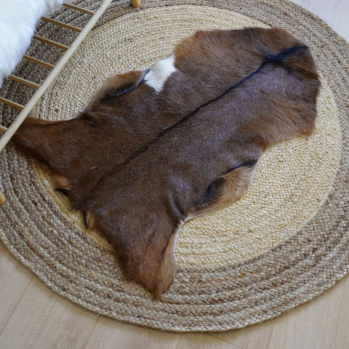 Covor din Piele de Capra, Tricolor