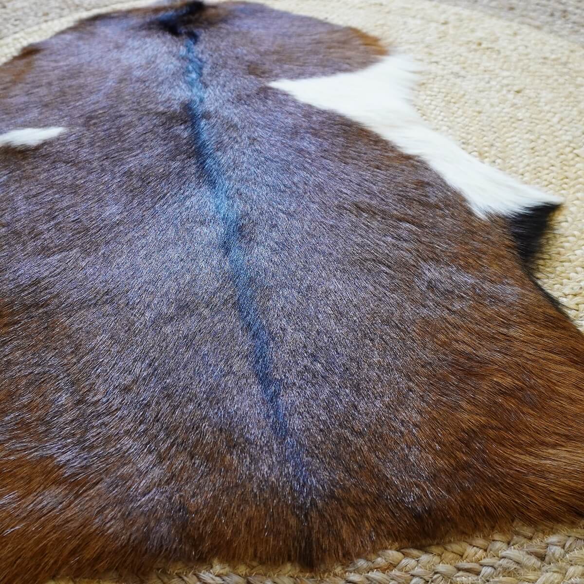 Covor din Piele de Capra, Tricolor