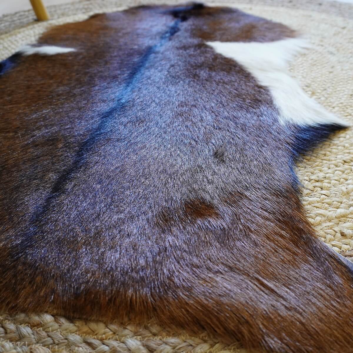 Covor din Piele de Capra, Tricolor