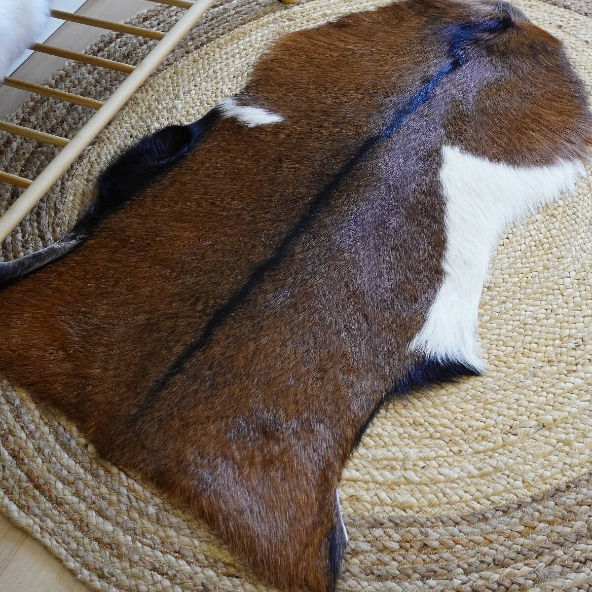 Covor din Piele de Capra, Tricolor