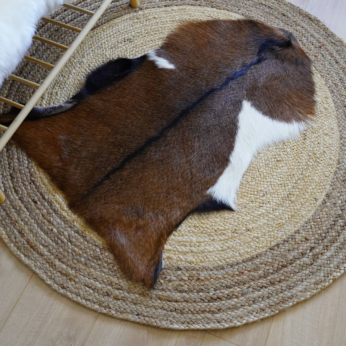 Covor din Piele de Capra, Tricolor