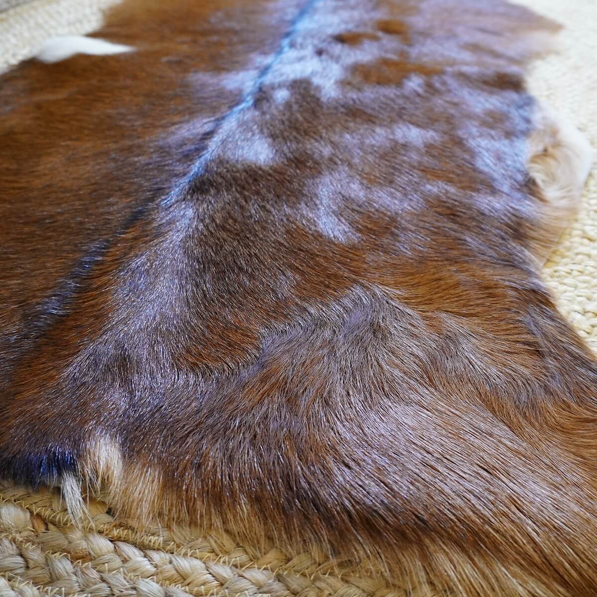 Covor din Piele de Capra, Maro