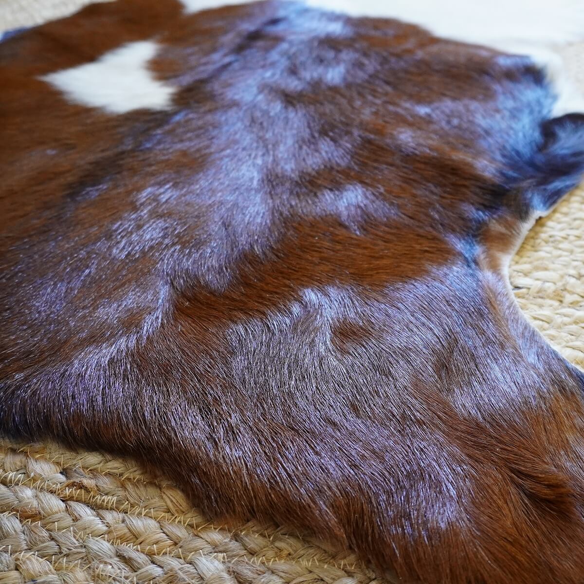 Covor din Piele de Capra, Maro cu Alb