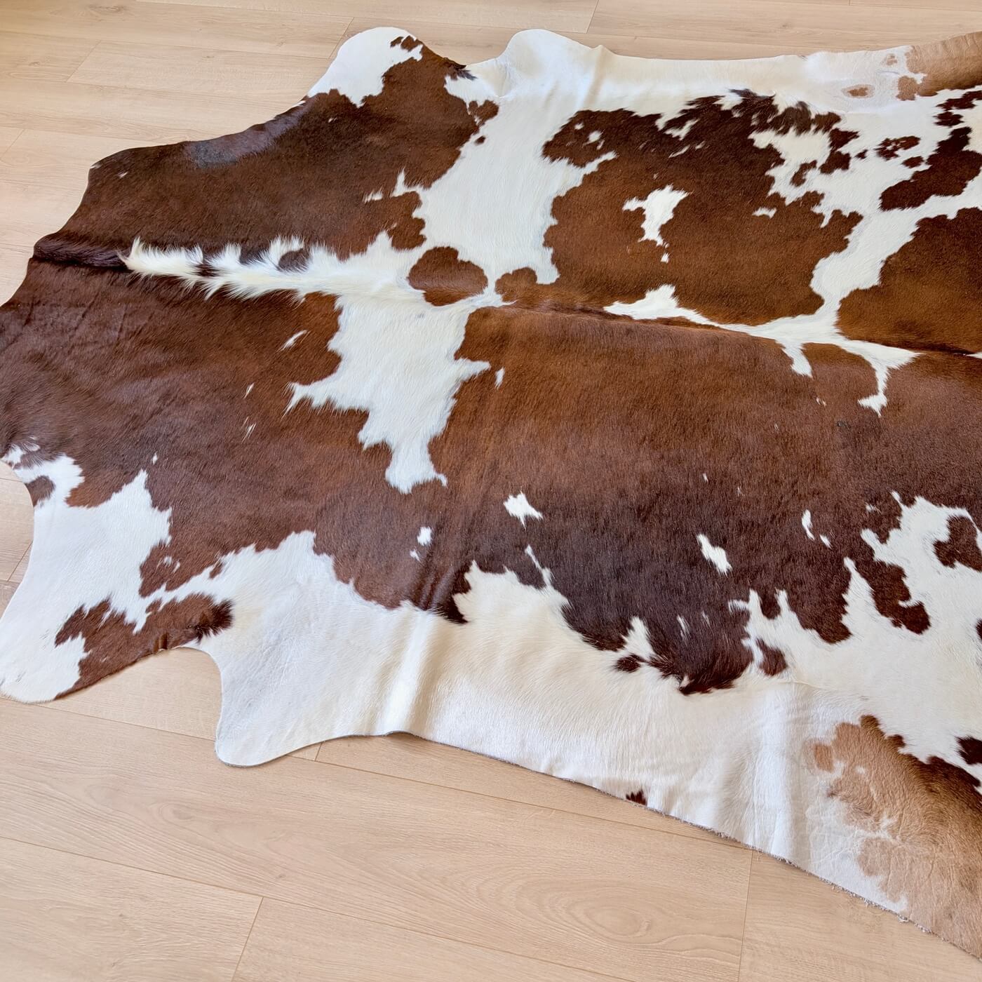 Covor din Piele de Vacă - Maro & Alb (240cm x 220cm) - marime XXL - cu pete spectaculoase - întinsă