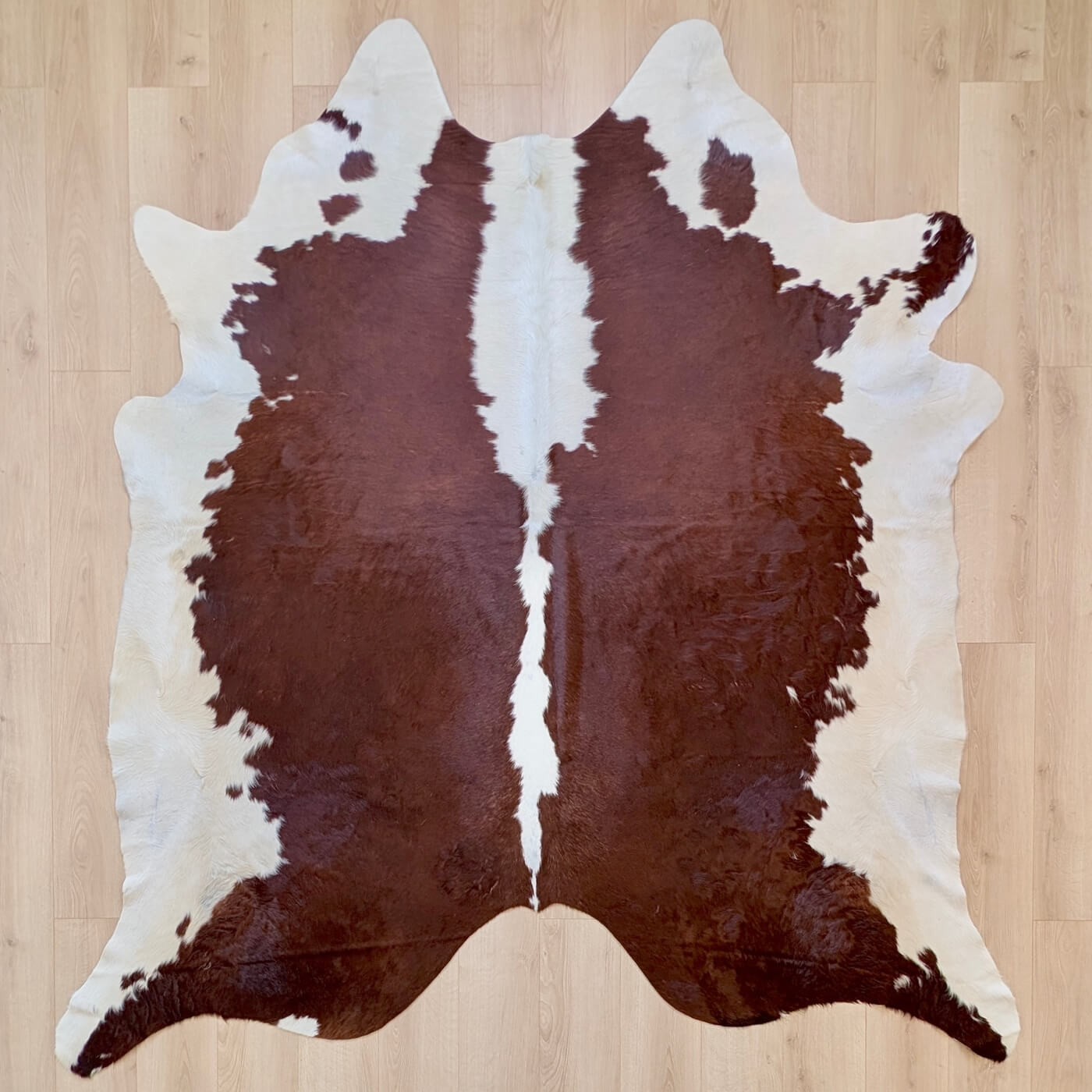 covor piele de vaca culoare maro rosiatic cu margini albe - marime mare perfect pentru living, studio sau birou - de sus