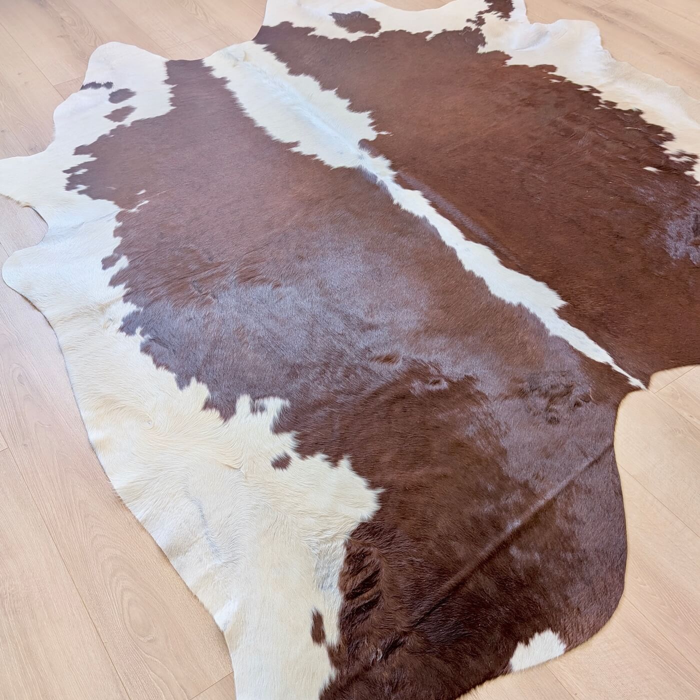 covor piele de vaca culoare maro rosiatic cu margini albe - marime mare perfect pentru living, studio sau birou - pe podea