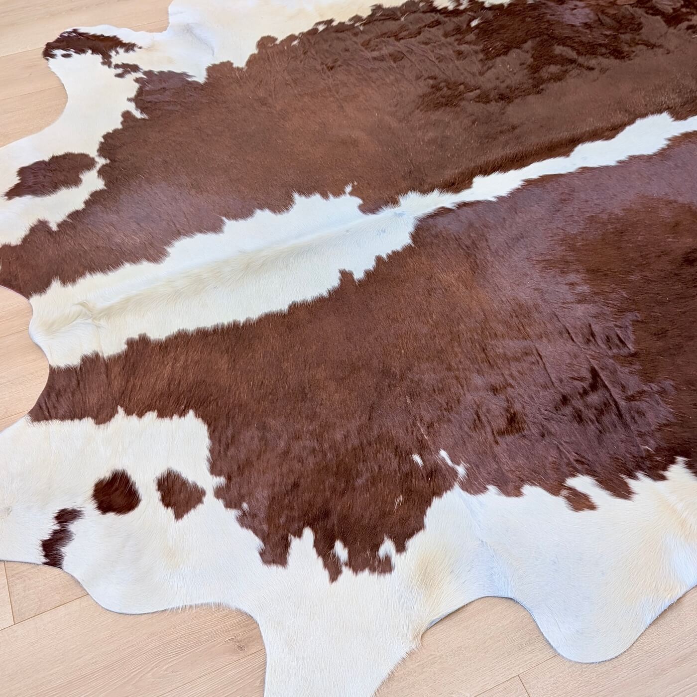 covor piele de vaca culoare maro rosiatic cu margini albe - marime mare perfect pentru living, studio sau birou - partea de sus