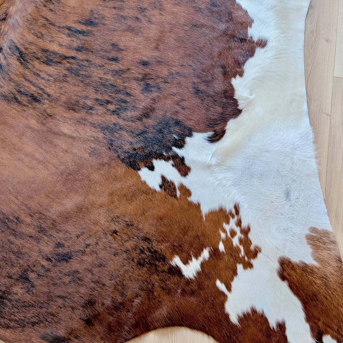covor piele vaca cu model exotic - culoare maro cu pete albe - marime XL pentru living, studio sau birou - zoom 2