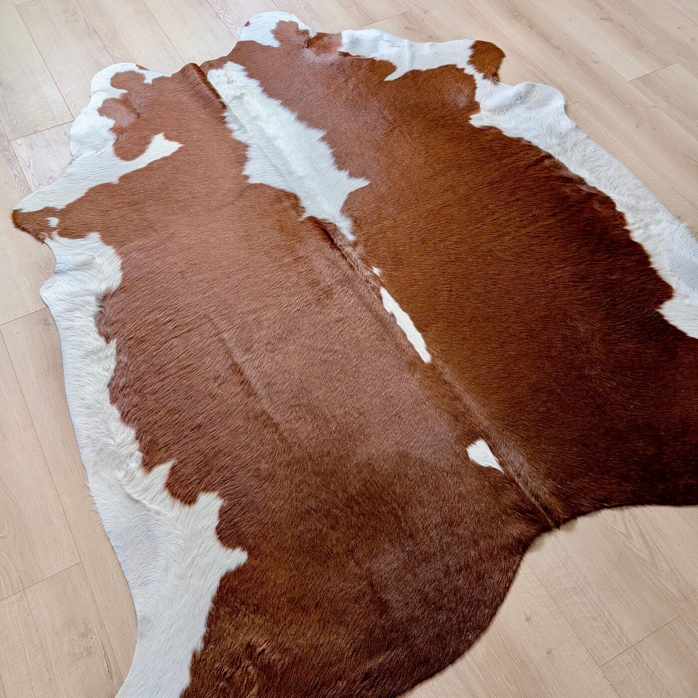 Covor din Piele de Vacă - Maro & Alb (200cm x 190cm) - întinsă pe parchet