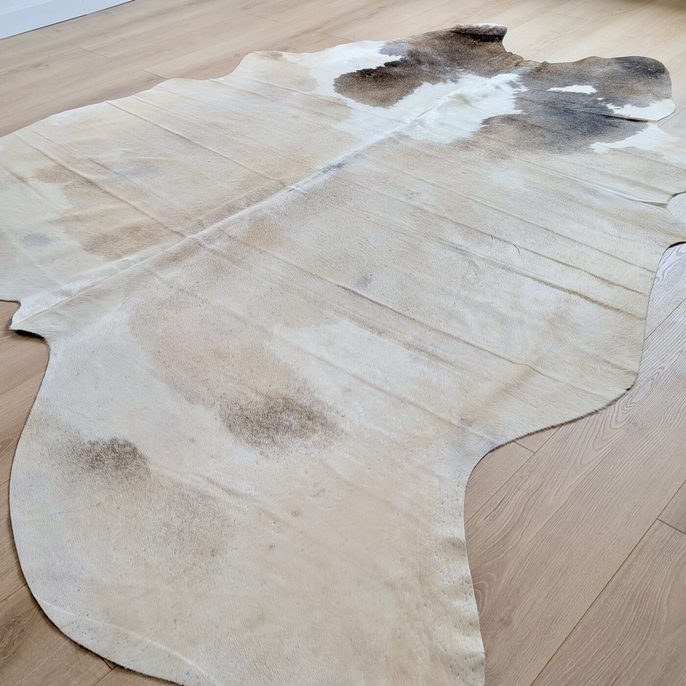 Covor din Piele de Vaca - Bej & Maro (235cm x 210cm) - intinsa pe podea