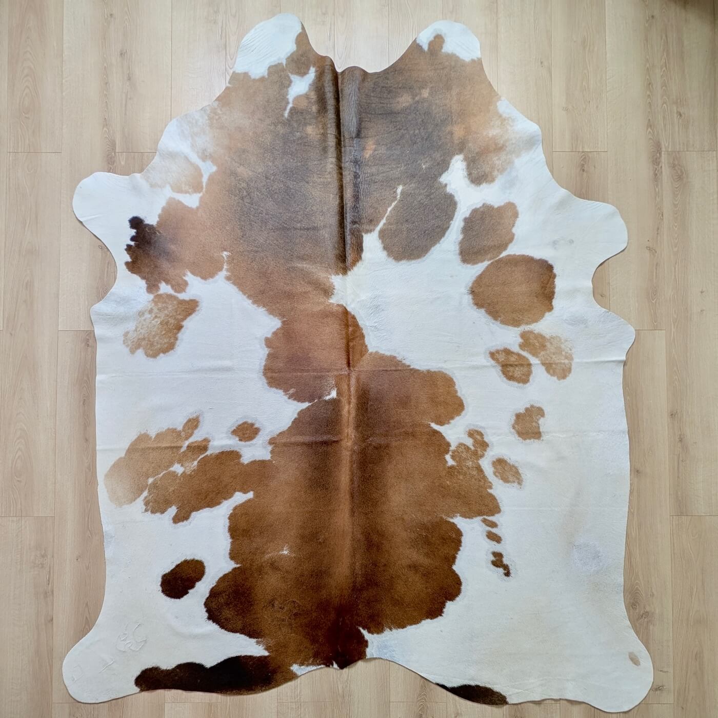 Covor din Piele de Vaca - Alb & Maro (240cm x 200cm) - piele naturala fotografiata real pe podea