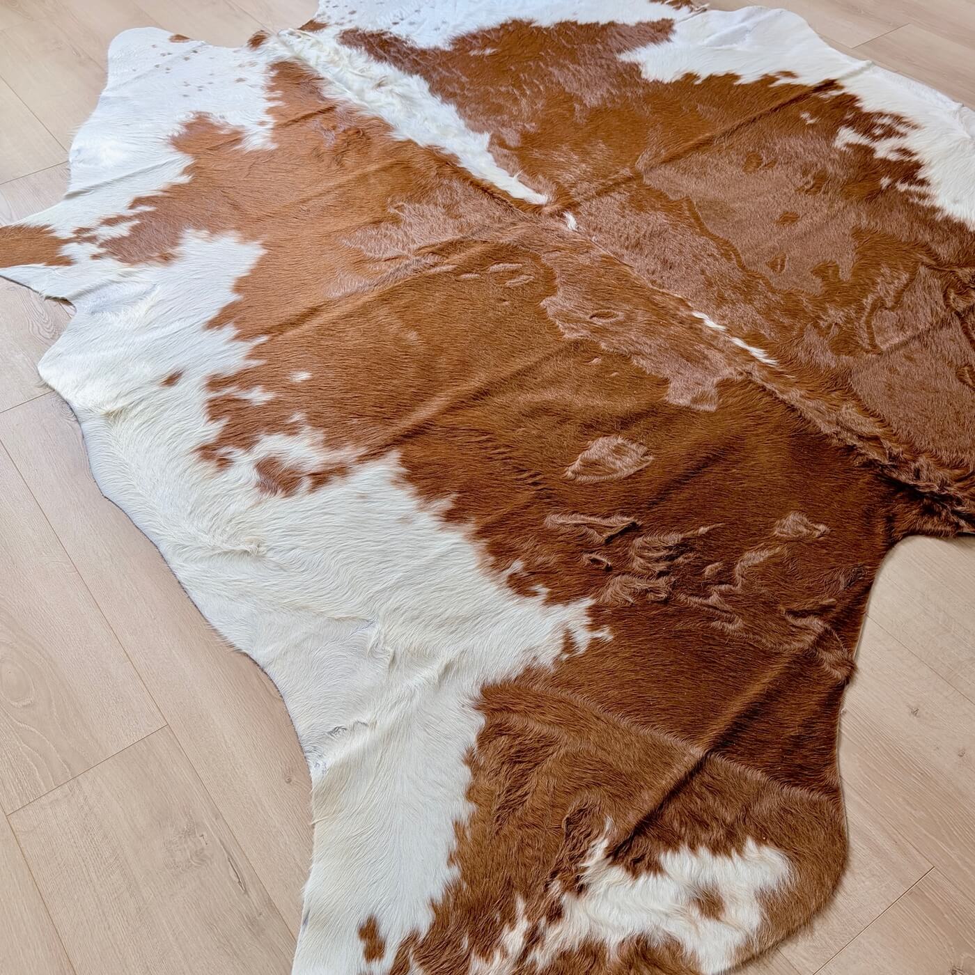 Covor din Piele de Vacă - Maro Roșiatic & Alb (235cm x 215cm) - pe podea 2