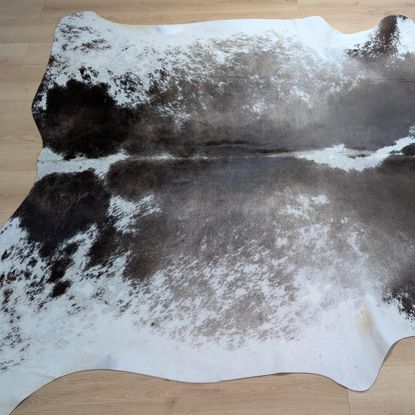 covor piele vaca maro inchis cu alb mbch530 pe parchet