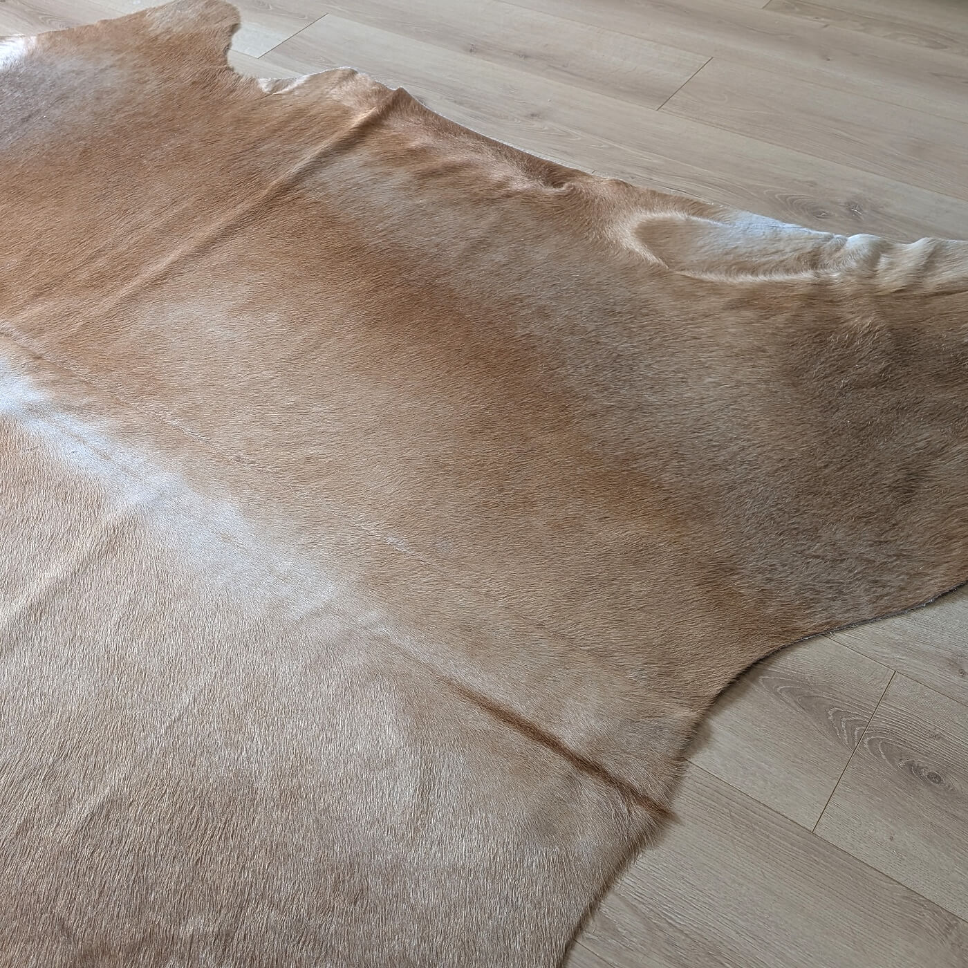 covor asimetric din piele de vaca maro caramel mbch533