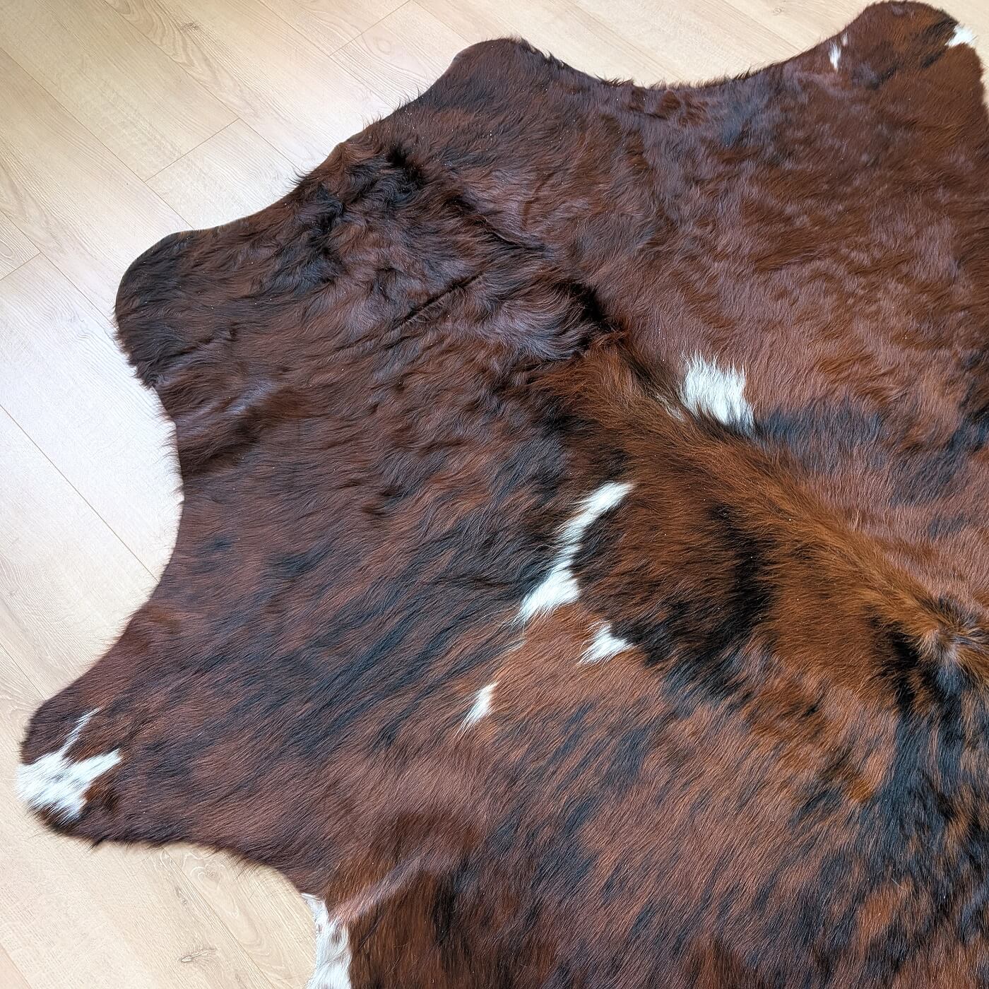 Covor din Piele de Vaca - Exotic (250cm x 225cm)