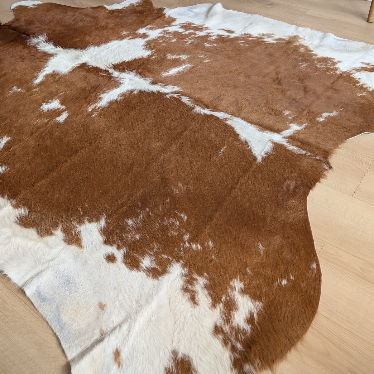 covor natural din piele de vaca maro cu alb pe parchet, mango+bloom