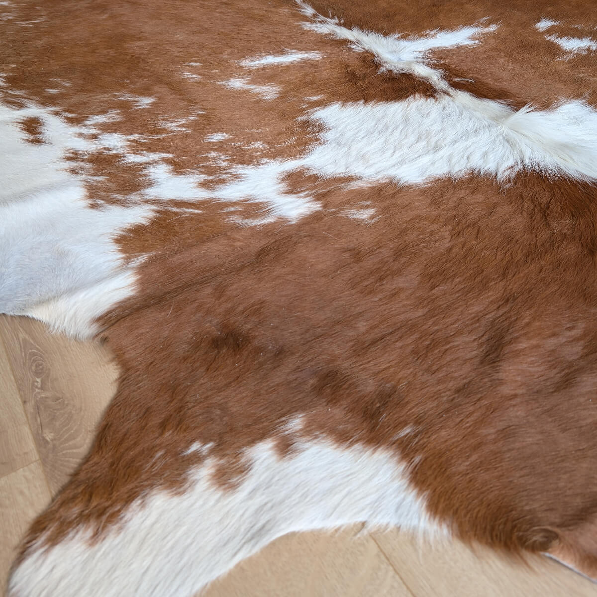 covor natural din piele de vaca maro cu alb pe parchet, mango+bloom