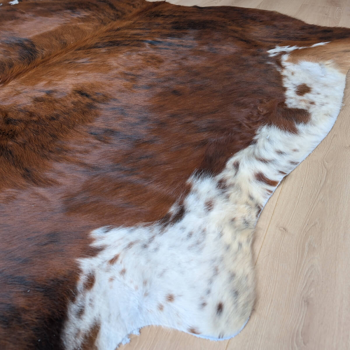 covor din piele de vaca exotic cu margini albe, mango+bloom