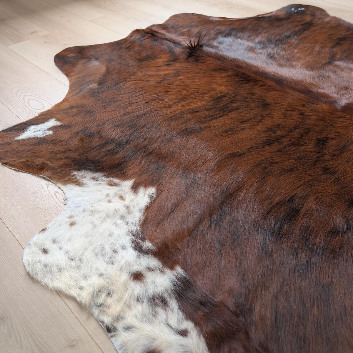 covor natural din piele de vaca exotic, mango+bloom