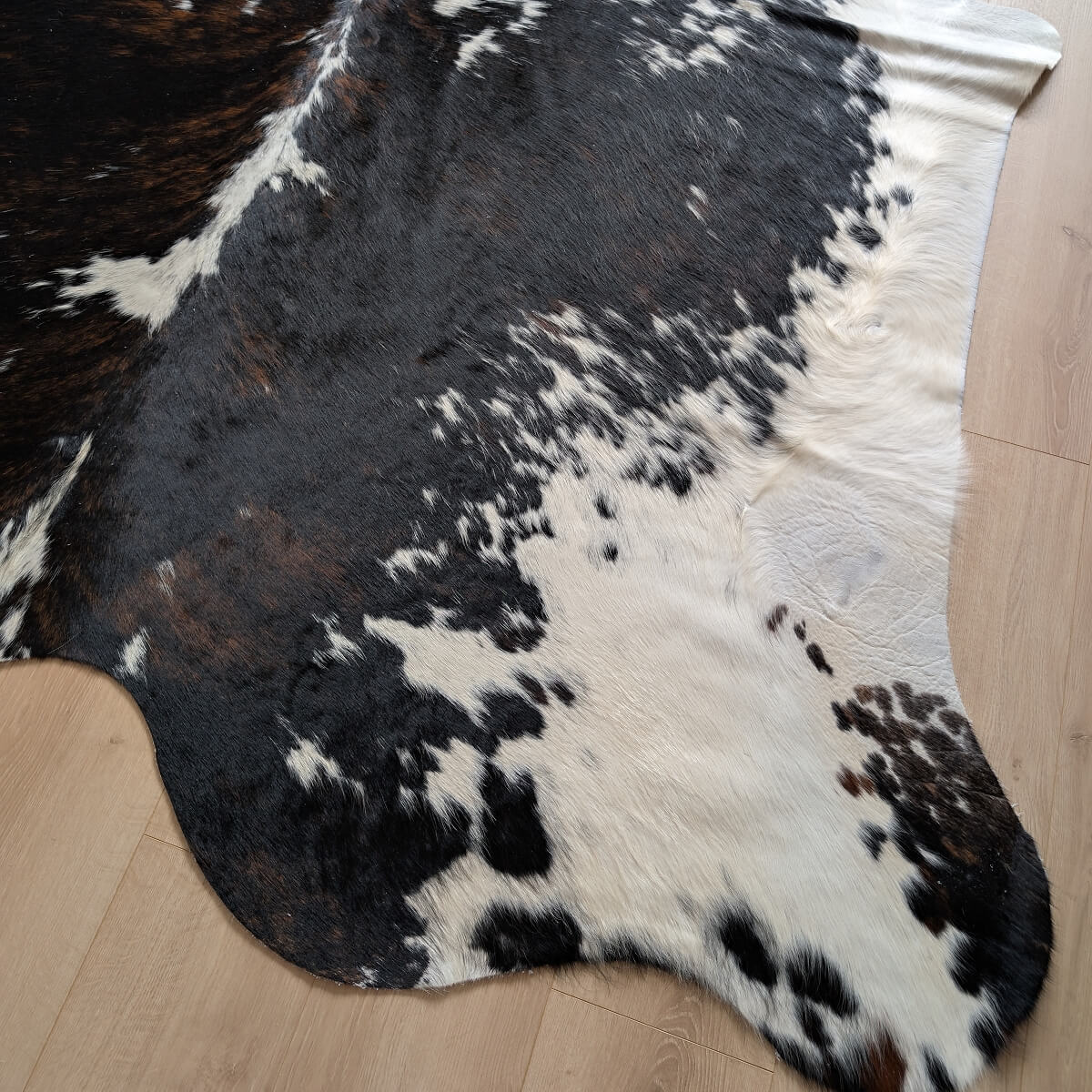 covor din piele naturala de vaca tricolora cu fir lung si des, mango+bloom