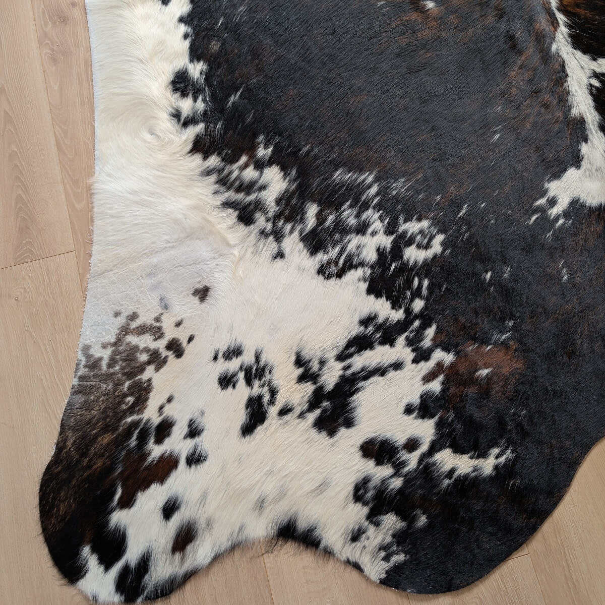 covor din piele naturala de vaca tricolora pe parchet, mango+bloom