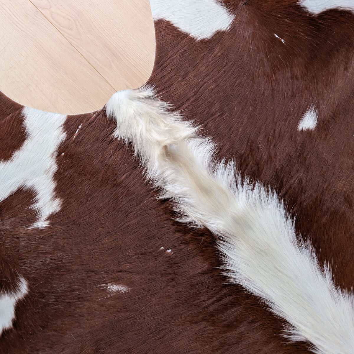 covor din piele naturala de vaca in culori maro si alb cu fir lung, mango+bloom