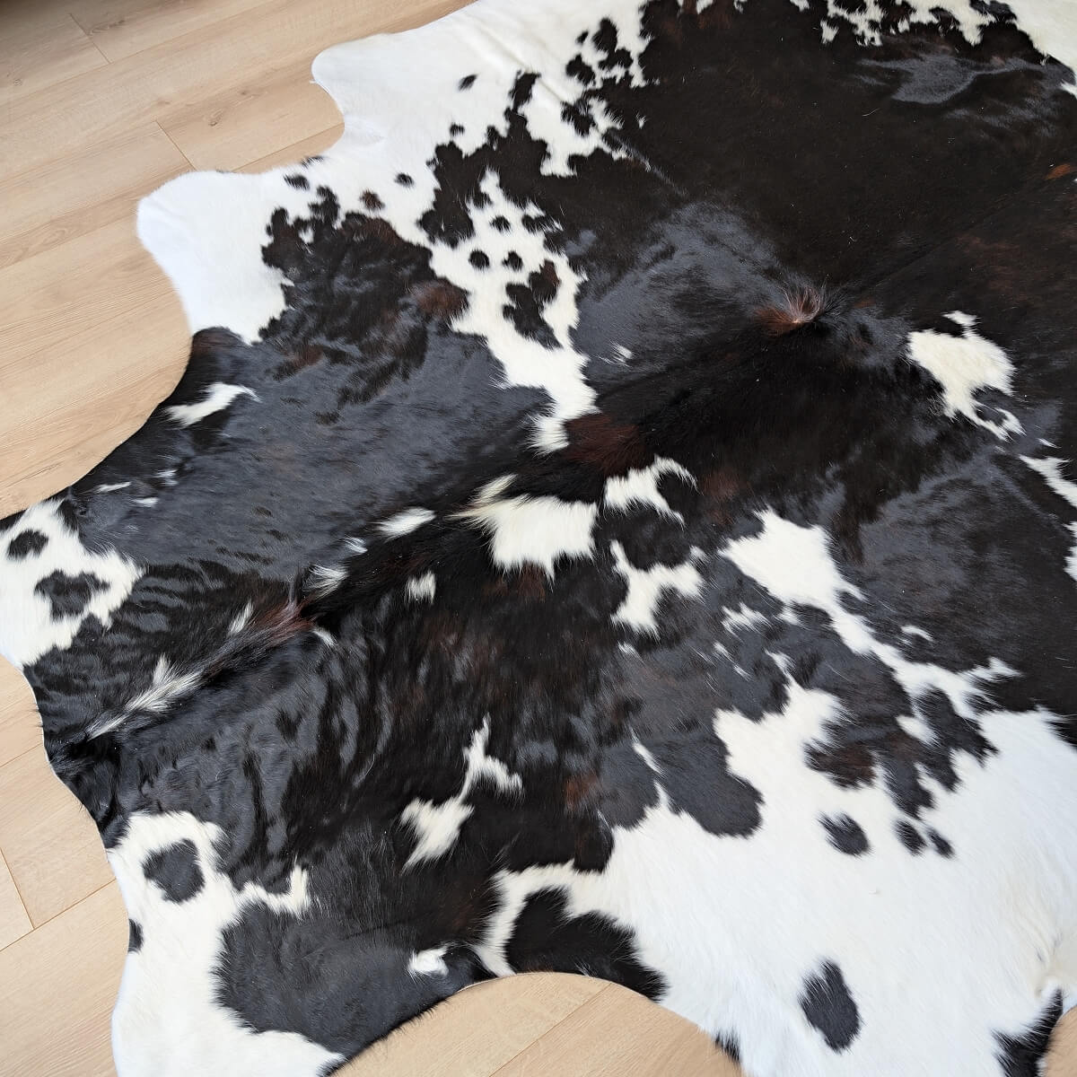 covor din piele naturala de vaca alb cu negru in marime XXL, mango+bloom