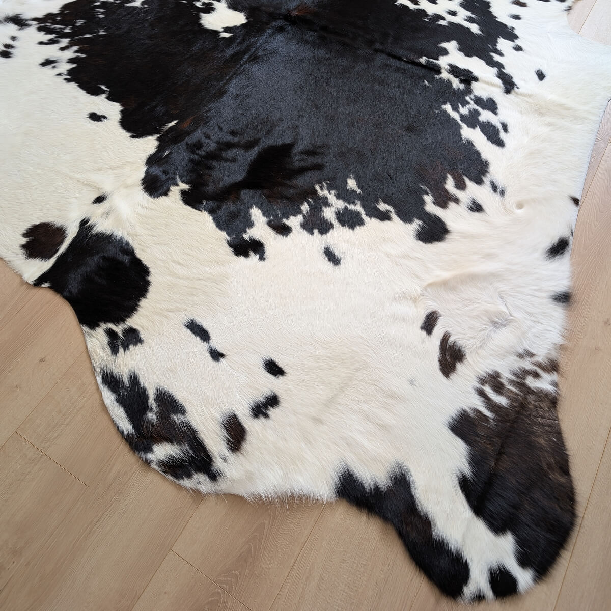 covor din piele naturala de vaca alb cu negru pe parchet, mango+bloom