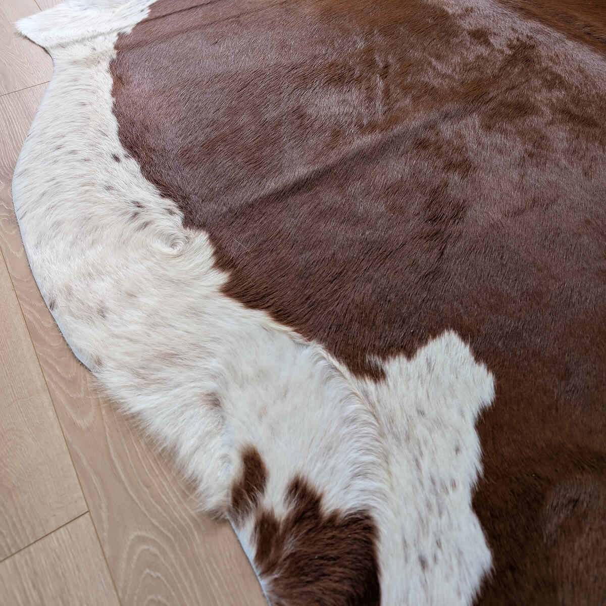 covor din piele naturala de vaca maro cu margini albe, mango+bloom