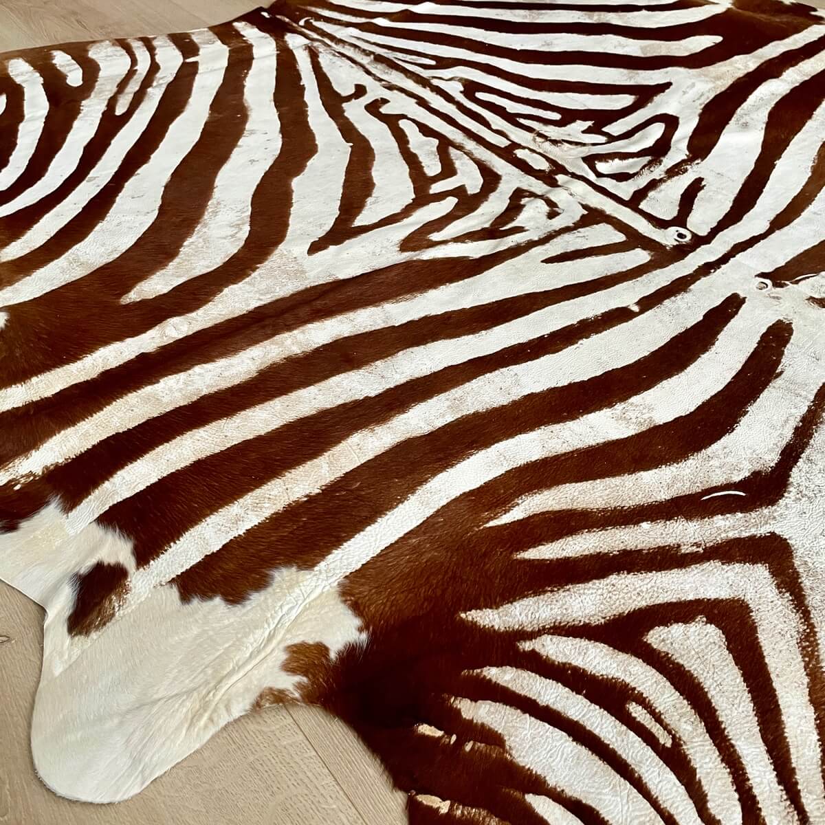 Covor din Piele de Vaca - Imprimeu Zebra cu efect Vintage - culori maro si crem - podea 2