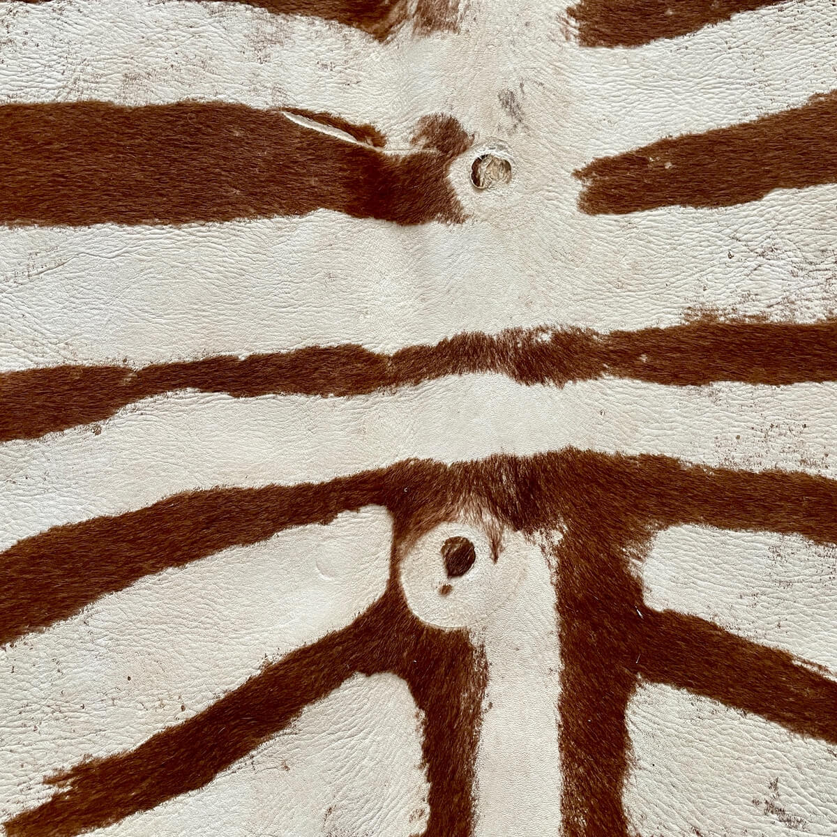 Covor din Piele de Vaca - Imprimeu Zebra cu efect Vintage - culori maro si crem - zoom 2