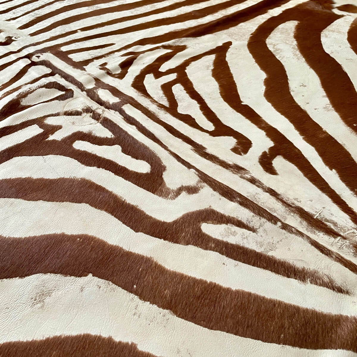 Covor din Piele de Vaca - Imprimeu Zebra cu efect Vintage - culori maro si crem - de aproape
