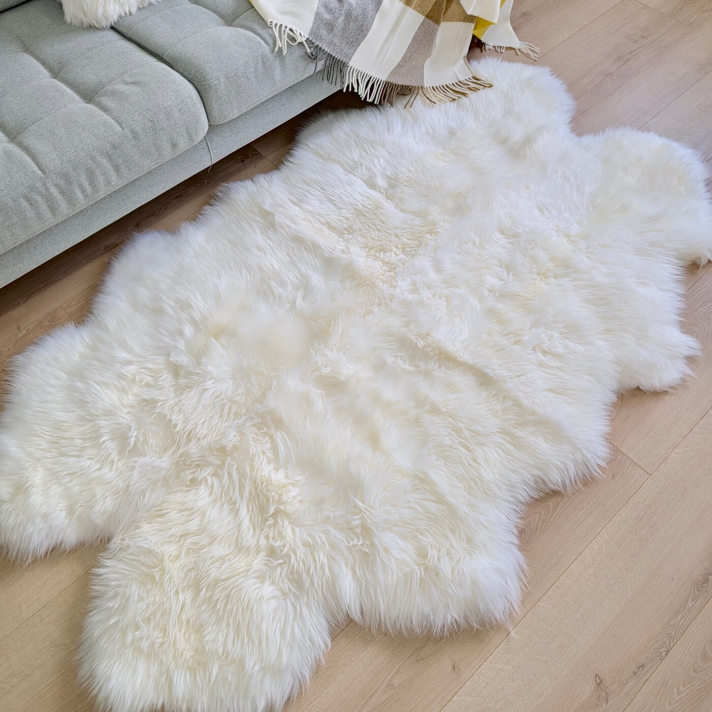 Covor Quad din blană naturală creat din 4 piei de oaie australiană calitate premium - mărime 160cm pe podea