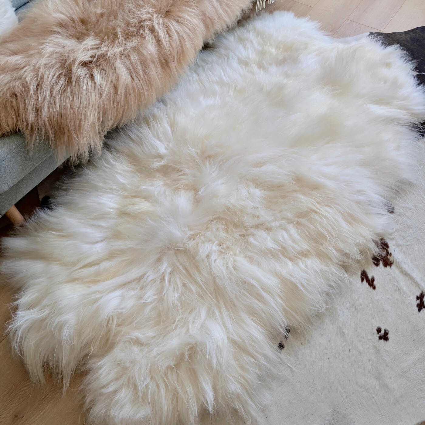 Covor Quad din Blană Naturală de Oaie Islandeză - realizat din 4 piei întregi cusute împreună - dimensiune 180 x 110 cm - fir extra lung minim 10 cm - alb ivory - decor 1