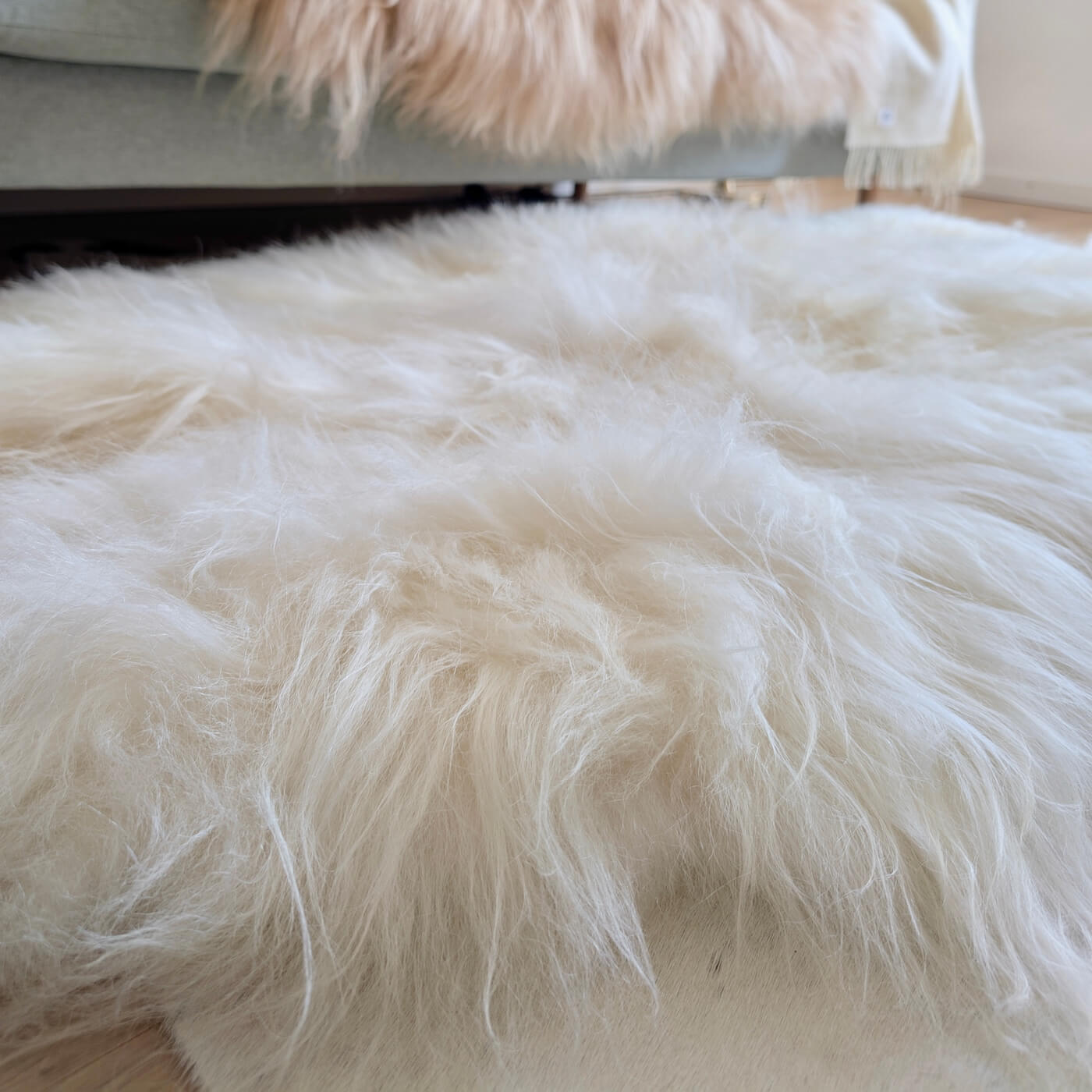Covor Quad din Blană Naturală de Oaie Islandeză - realizat din 4 piei întregi cusute împreună - dimensiune 180 x 110 cm - fir extra lung minim 10 cm - alb ivory - close up