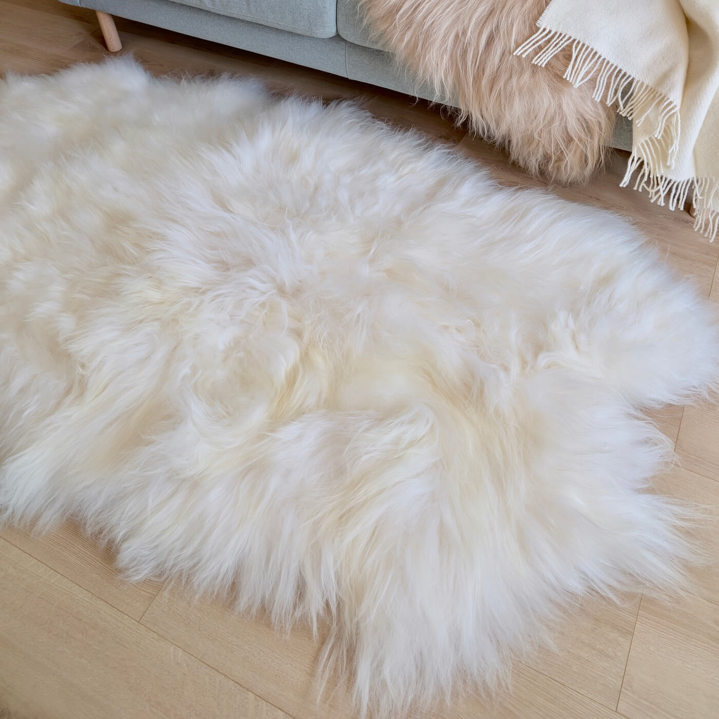 Covor Quad din Blană Naturală de Oaie Islandeză - realizat din 4 piei întregi cusute împreună - dimensiune 180 x 110 cm - fir extra lung minim 10 cm - alb ivory - intins