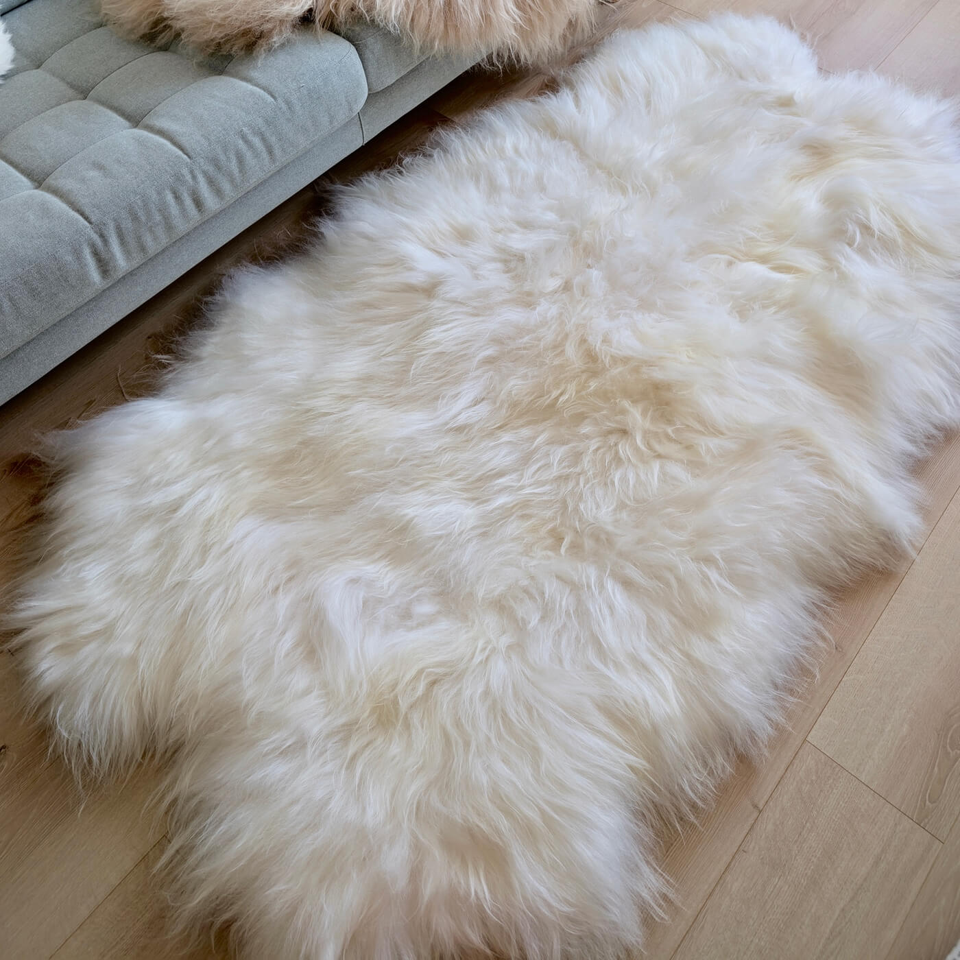 Covor Quad din Blană Naturală de Oaie Islandeză - realizat din 4 piei întregi cusute împreună - dimensiune 180 x 110 cm - fir extra lung minim 10 cm - alb ivory - de sus