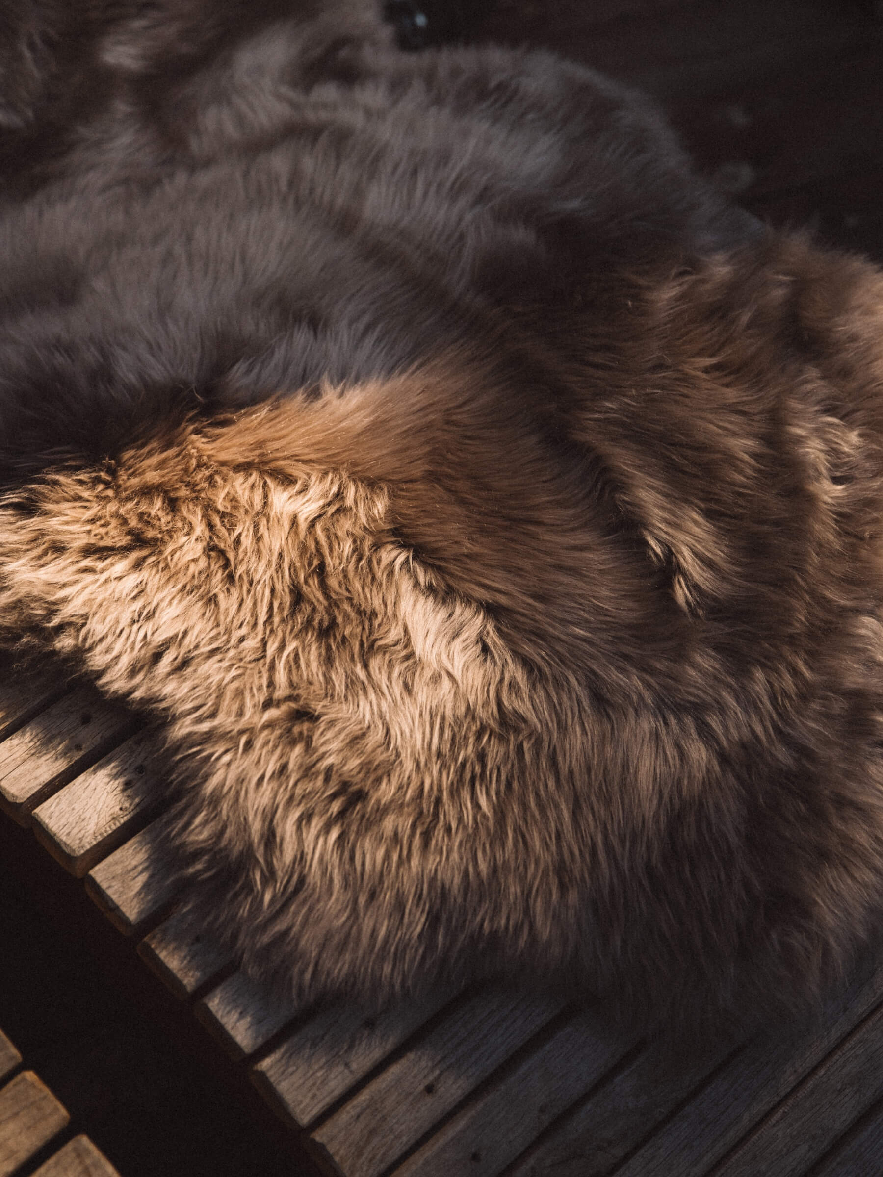 covoare blana australian sheepskins